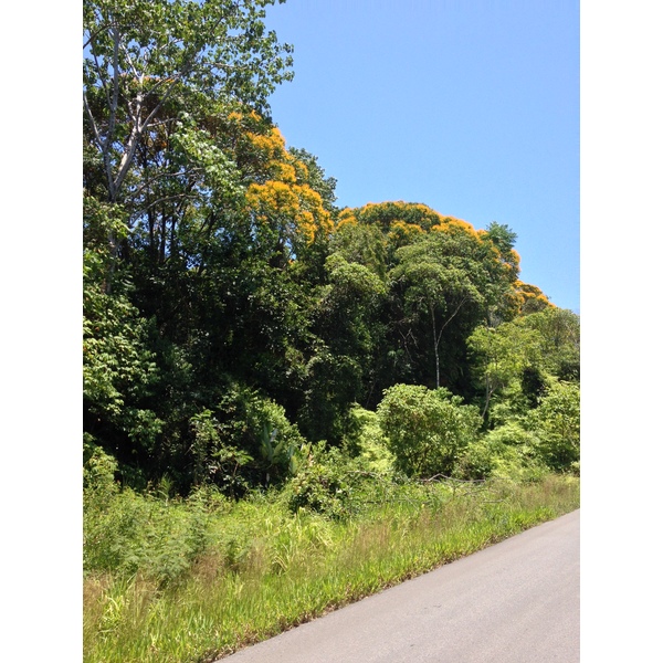 Photo Costa Rica Pacific Border 2015-03 4