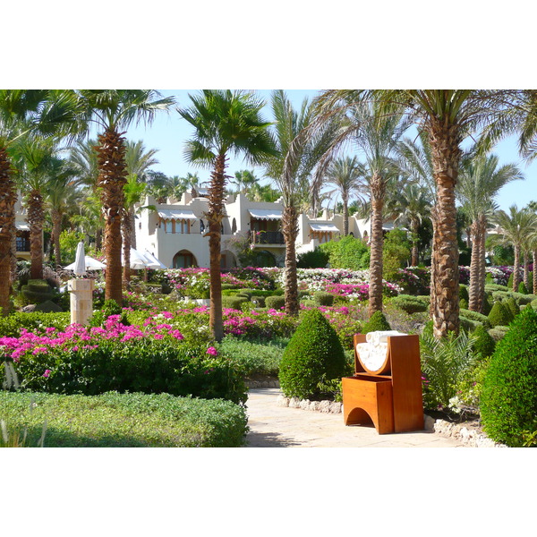 Photo Égypte Sharm el Sheikh Hotel Four Seasons Plage du Four Seasons 2008-06 23