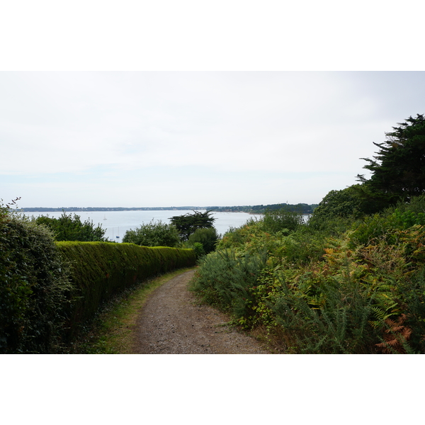Photo France Île-aux-Moines 2016-08 84