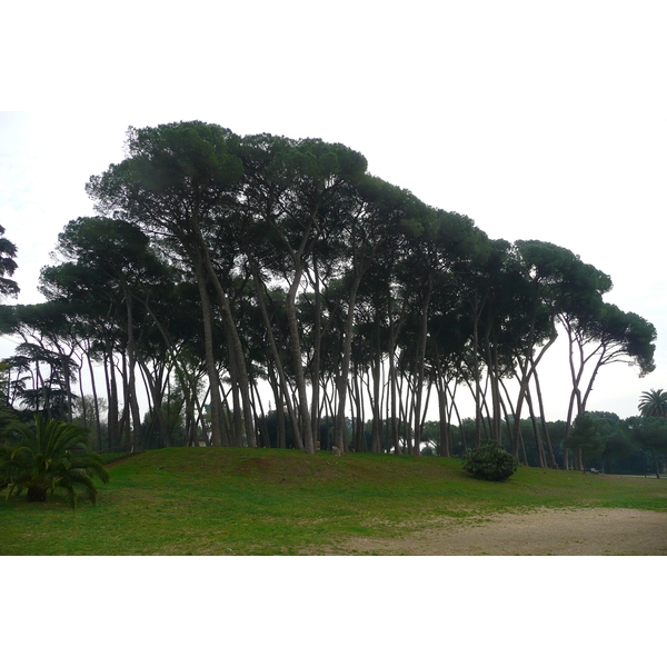 Photo Italie Rome Villa Doria Pamphili 2007-11 80