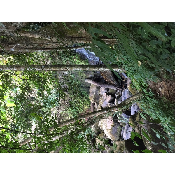 Photo Thaïlande Parc National Phu Hin Rong Kla 2014-12 206