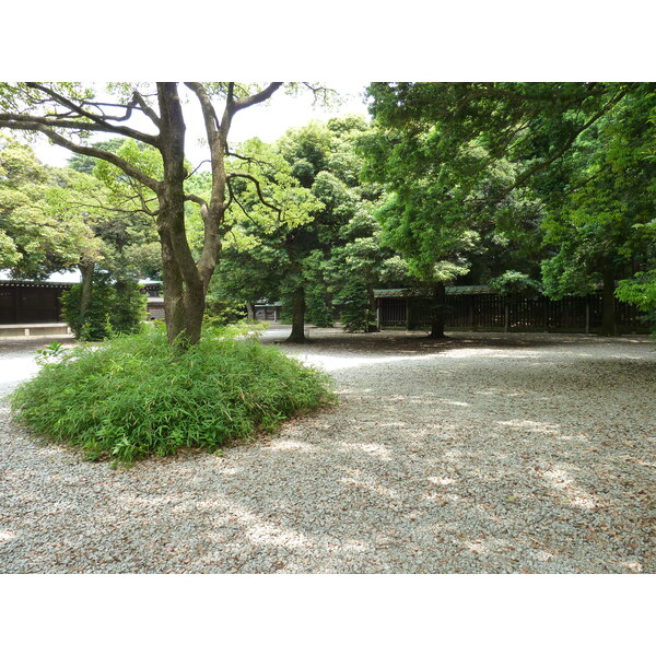 Photo Japon Tokyo Parc Yoyogi 2010-06 37