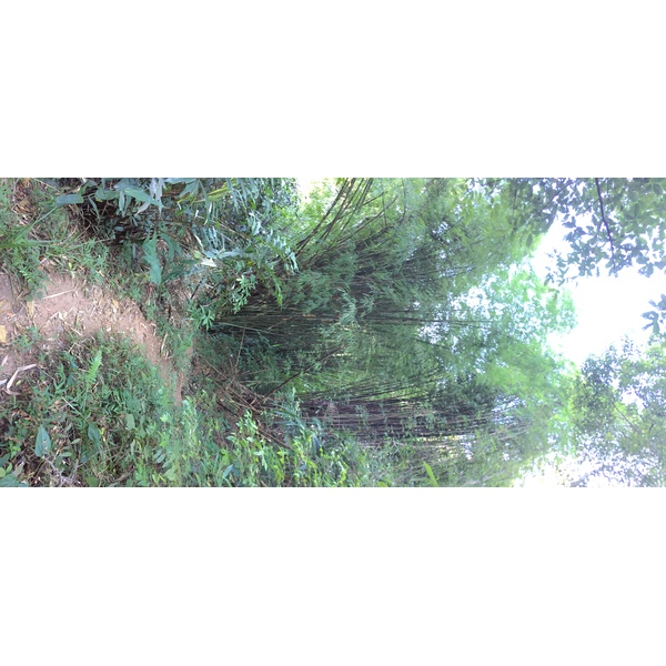 Photo Thaïlande Parc National Phu Hin Rong Kla 2014-12 132