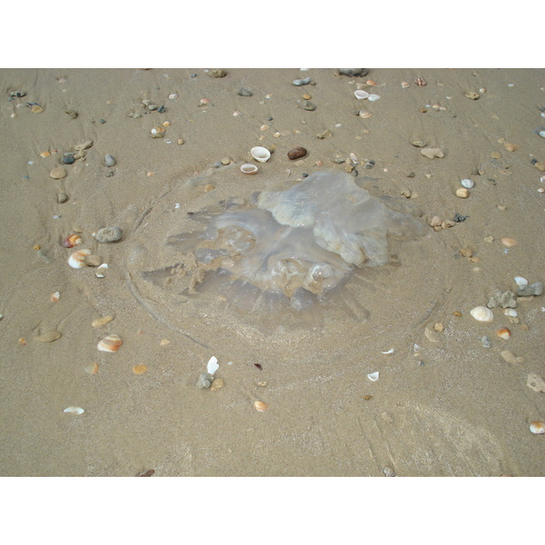 Photo Israel Herzliya 2006-12 80