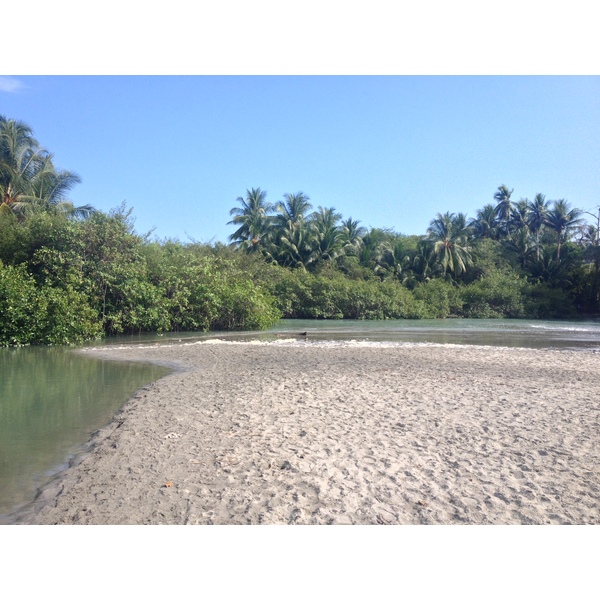 Photo Costa Rica Parc Manuel Antonio 2015-03 287