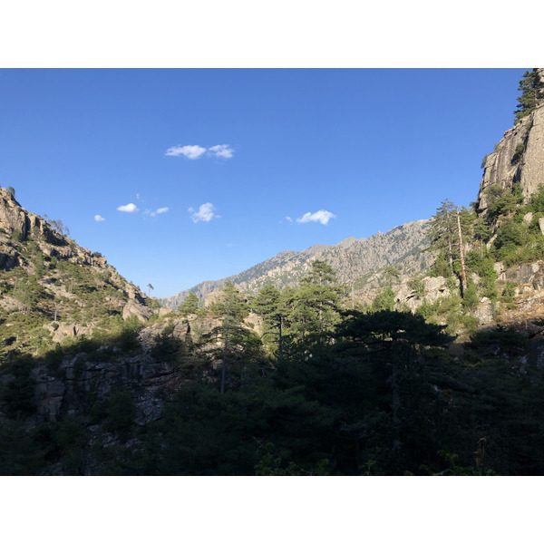 Photo France Corse La Restonica 2020-07 58