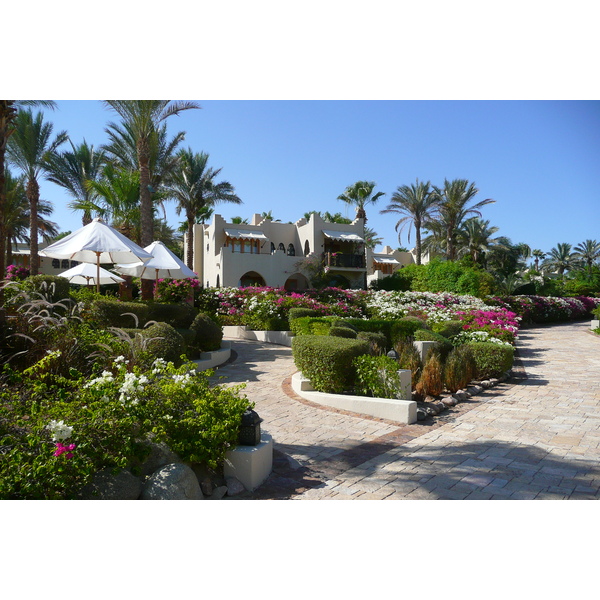 Photo Égypte Sharm el Sheikh Hotel Four Seasons Plage du Four Seasons 2008-06 20