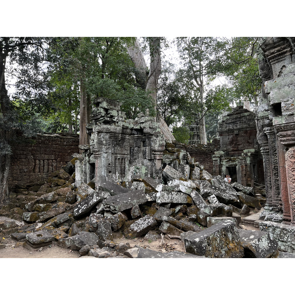 Photo Cambodge Siem Reap Ta Prohm 2023-01 56