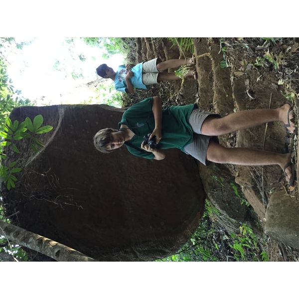 Photo Thaïlande Parc National Phu Hin Rong Kla 2014-12 133