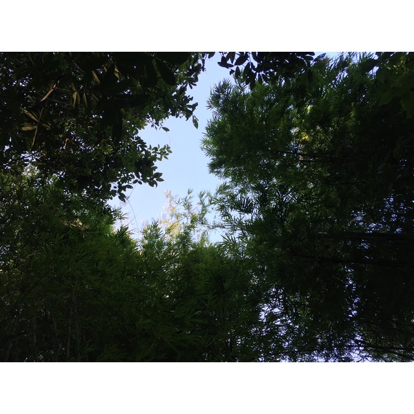 Photo Thaïlande Parc National Phu Hin Rong Kla 2014-12 172