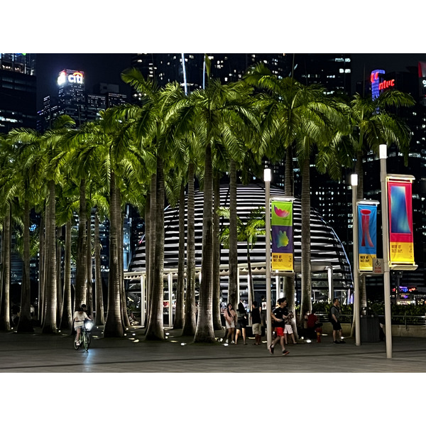 Photo Singapour Marina Bay Sands 2023-01 29