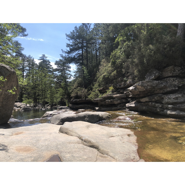 Photo France Corse Forêt d'Aïtone 2021-06 57