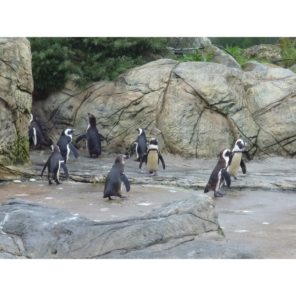 Photo France Le Croisic Ocearium 2009-10 0