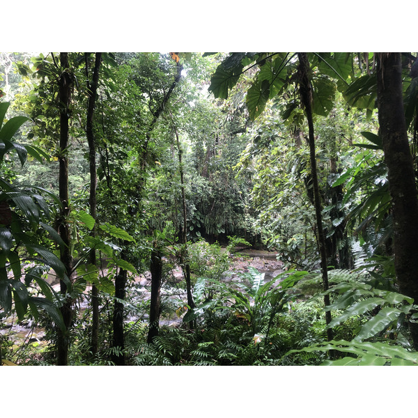 Photo Guadeloupe Cascade aux écrevisses 2021-02 7