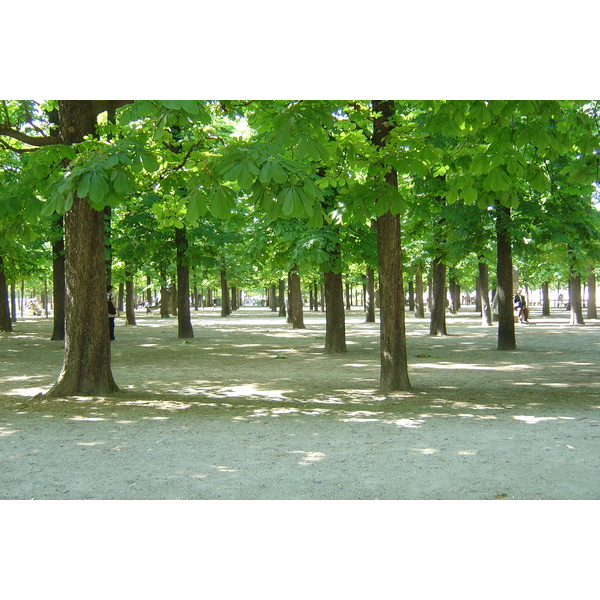 Photo France Paris Jardin des Tuileries 2007-05 383