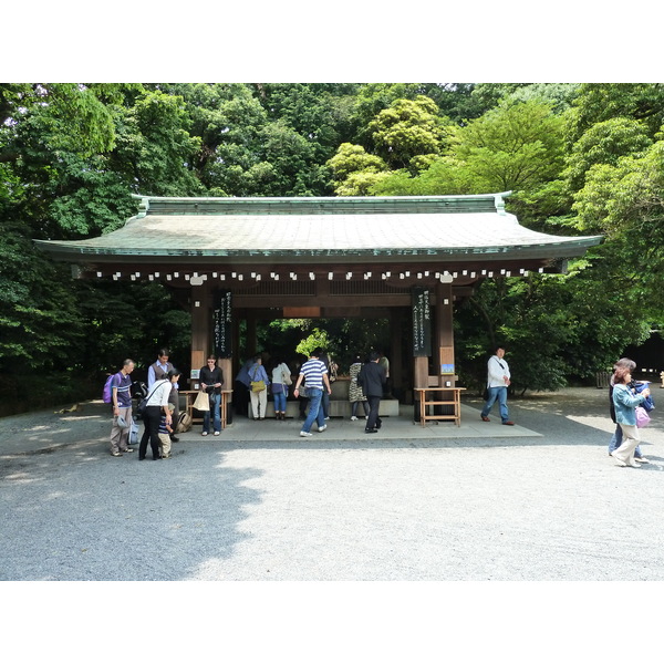 Photo Japon Tokyo Parc Yoyogi 2010-06 9