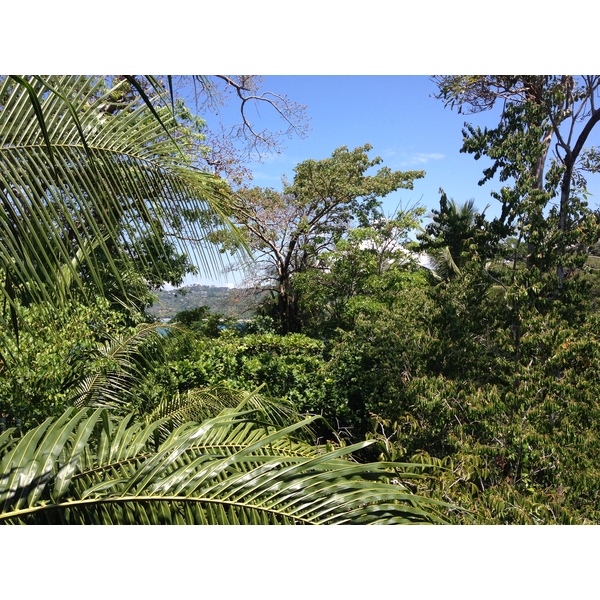 Photo Costa Rica Parc Manuel Antonio 2015-03 213