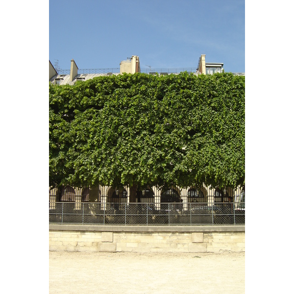 Photo France Paris Jardin des Tuileries 2007-05 17