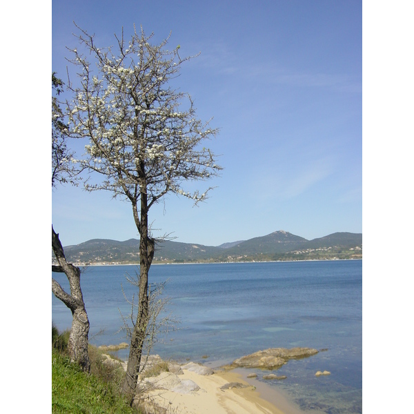 Photo France Saint Tropez 2002-03 62
