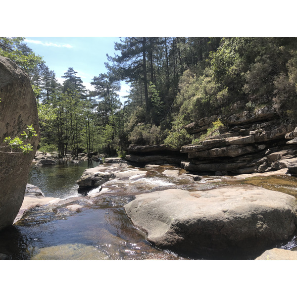 Photo France Corse Forêt d'Aïtone 2021-06 8