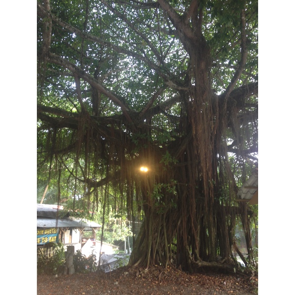 Photo Costa Rica Dominical 2015-03 75