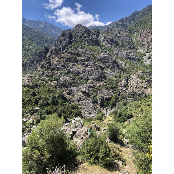 Photo France Corse Forêt d'Aïtone 2021-06 60