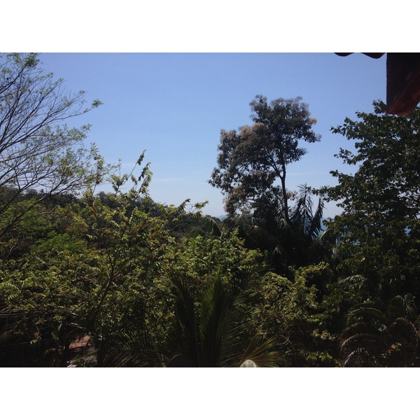 Photo Costa Rica Parc Manuel Antonio 2015-03 468