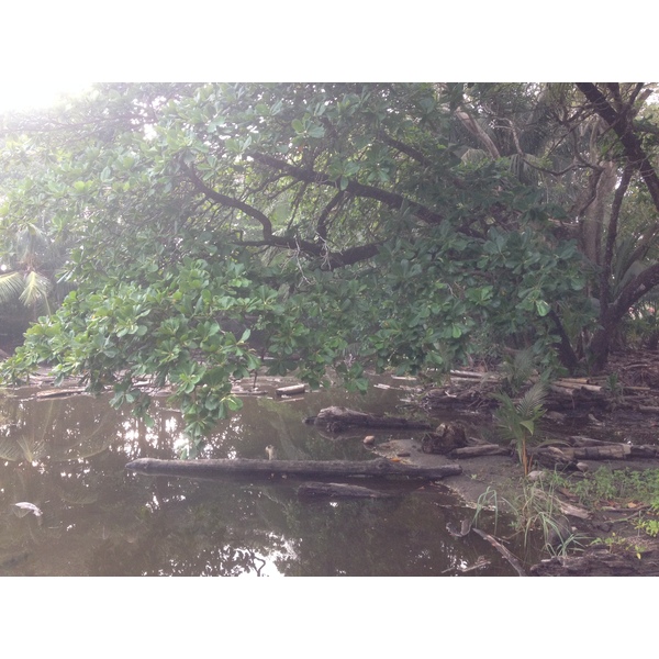 Photo Costa Rica Dominical 2015-03 74