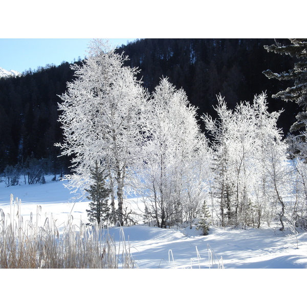 Photo Suisse Saint Moritz Schlarigna 2007-01 66
