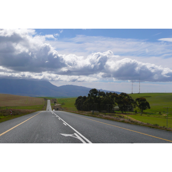 Photo Afrique du Sud Route de Harmanus à Knysna 2008-09 101