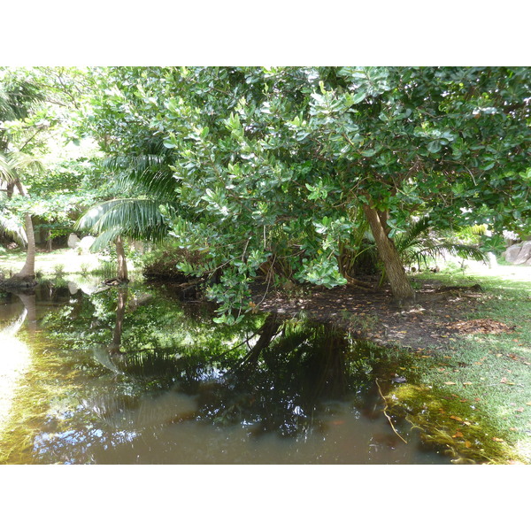 Photo Seychelles Grande Soeur 2011-10 91