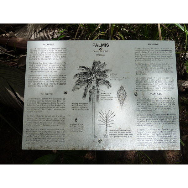 Photo Seychelles Vallée de Mai 2011-10 33