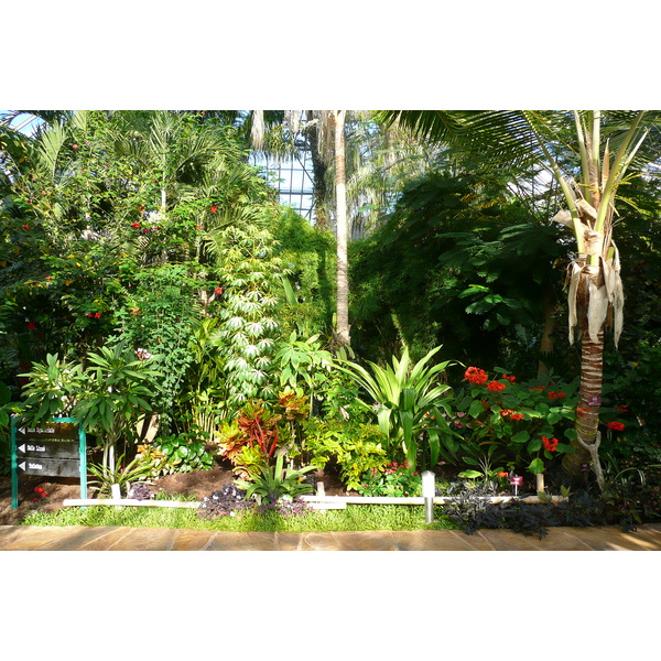 Photo France Nice Parc Phoenix 2007-10 67