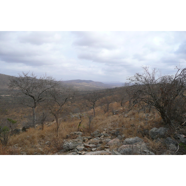 Photo Afrique du Sud Parc National Kruger 2008-09 169