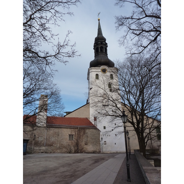 Photo Estonie Tallinn Centre historique de Tallinn 2009-04 33