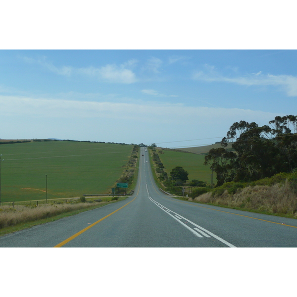 Photo Afrique du Sud Route de Harmanus à Knysna 2008-09 82