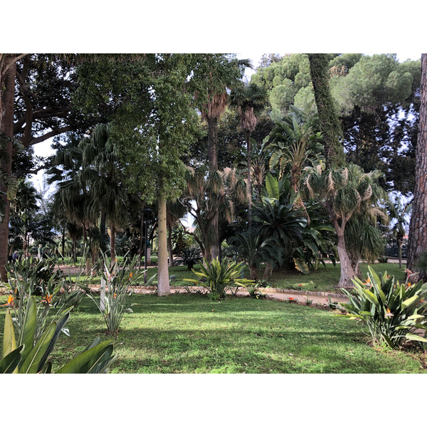 Photo Italie Sicile Palermo Palais des Normands 2020-02 146