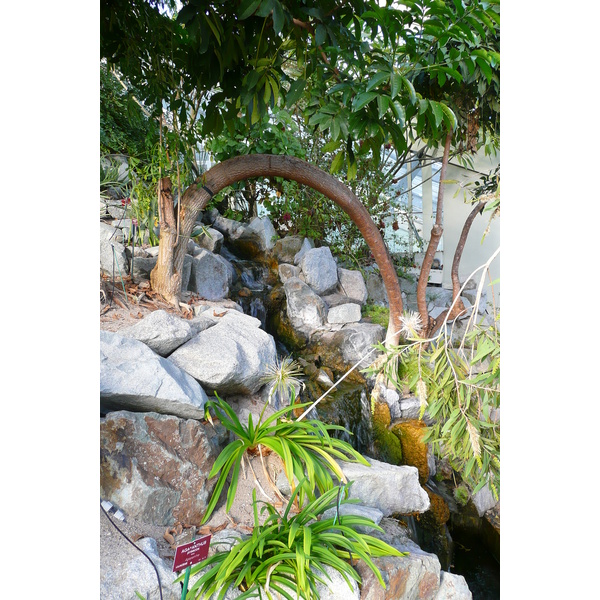 Photo France Nice Parc Phoenix 2007-10 22