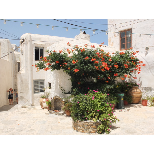 Photo Grèce Naxos 2014-07 111