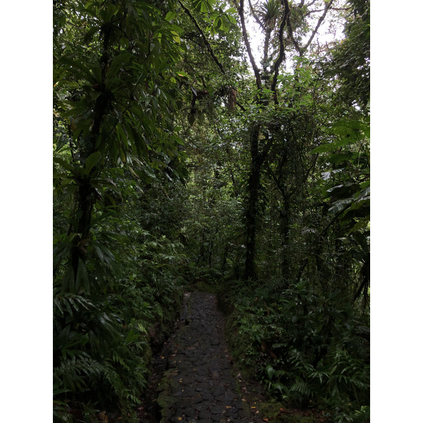 Photo Guadeloupe Chute du Carbet 2021-02 45