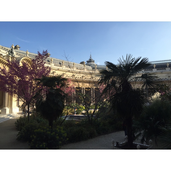 Photo France Paris Petit Palais 2016-03 14