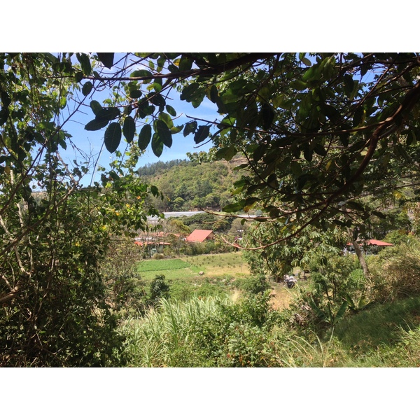 Photo Panama Boquete 2015-03 55