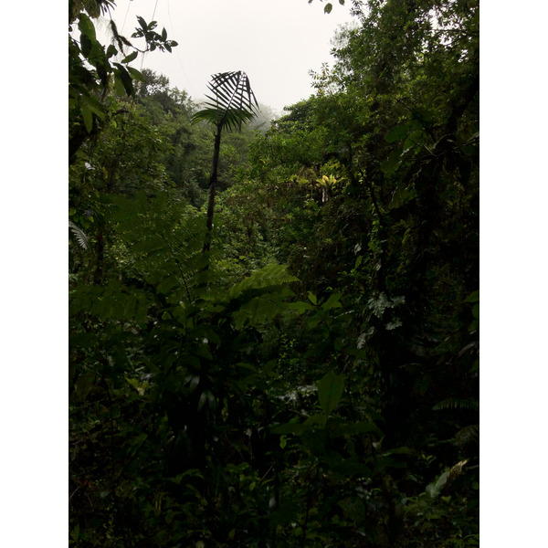 Photo Guadeloupe Chute du Carbet 2021-02 24