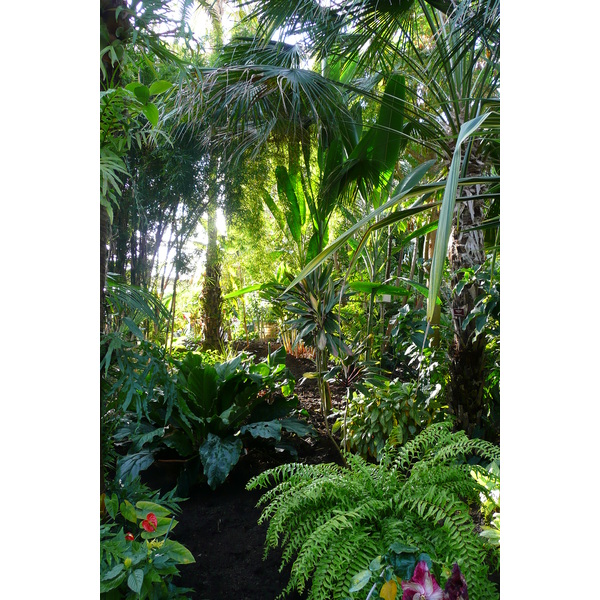 Photo France Nice Parc Phoenix 2007-10 101
