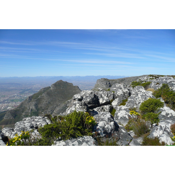 Photo Afrique du Sud Le Cap Montagne de la table 2008-09 61