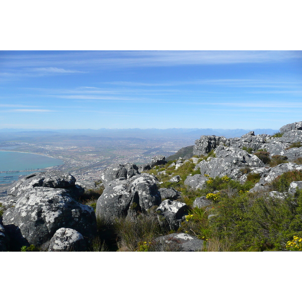 Photo Afrique du Sud Le Cap Montagne de la table 2008-09 67