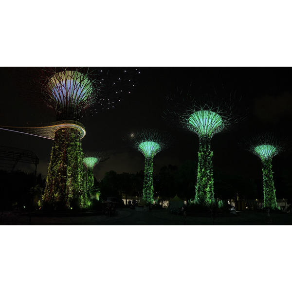 Photo Singapour Garden by the bay 2023-01 11