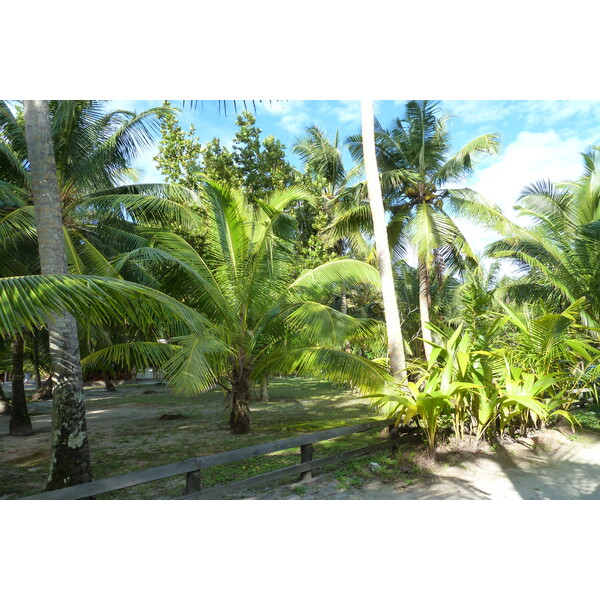 Photo Seychelles Anse Lazio 2011-10 100