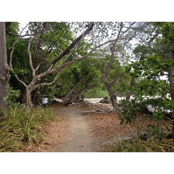 Photo Costa Rica Montezuma 2015-03 427