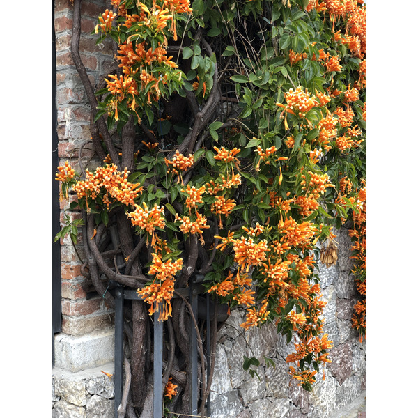 Photo Italie Sicile Taormine 2020-02 141